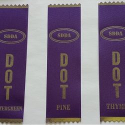 DOT Ribbon - ruban DOT