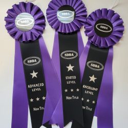Trial Title Ribbons